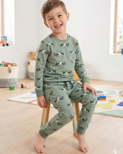 Boys Race Car Print Full-Sleeve Sweatshirt and Joggers Co-ord Set – Sage Green